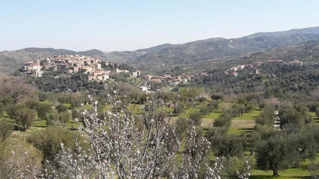 Giardino Di Potentino Seggiano Екстериор снимка
