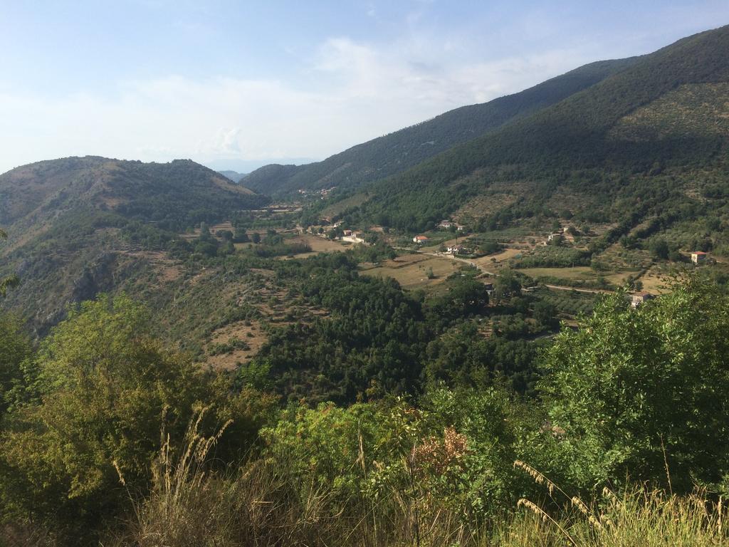 Giardino Di Potentino Seggiano Екстериор снимка