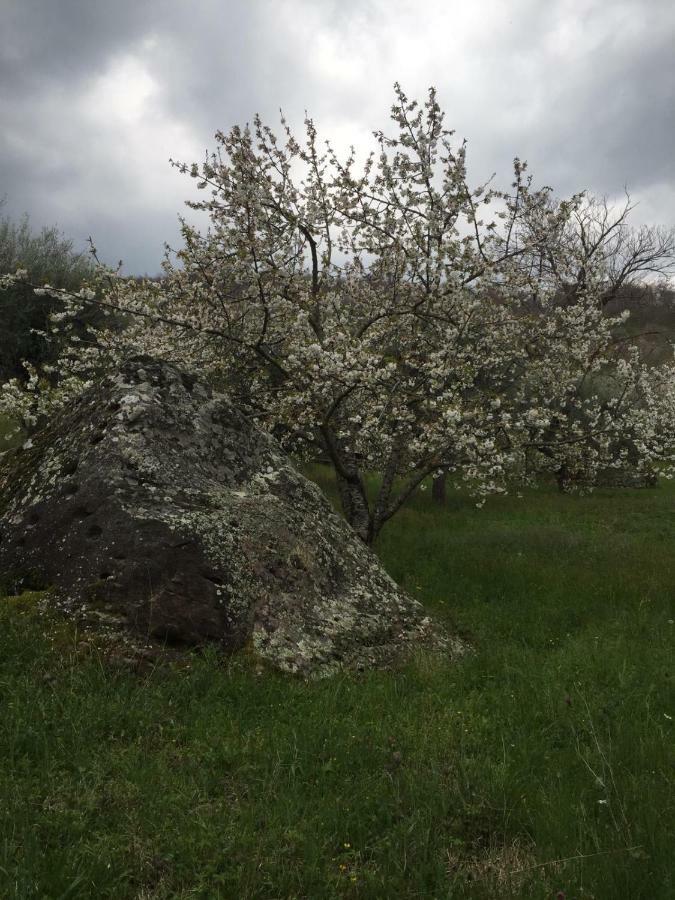 Giardino Di Potentino Seggiano Екстериор снимка