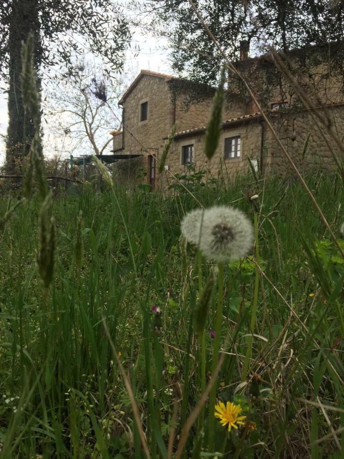 Giardino Di Potentino Seggiano Екстериор снимка